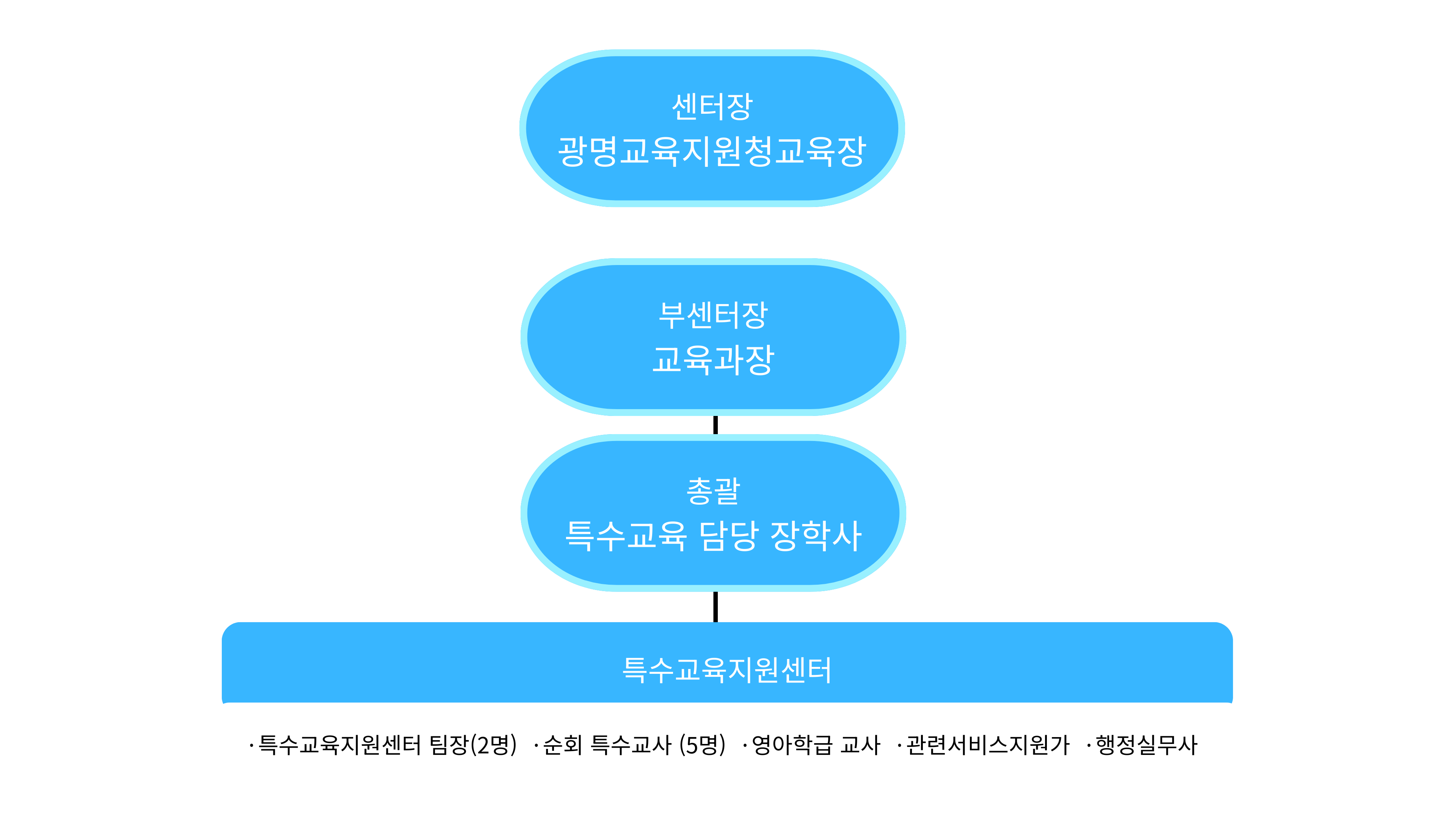 센터 조직도